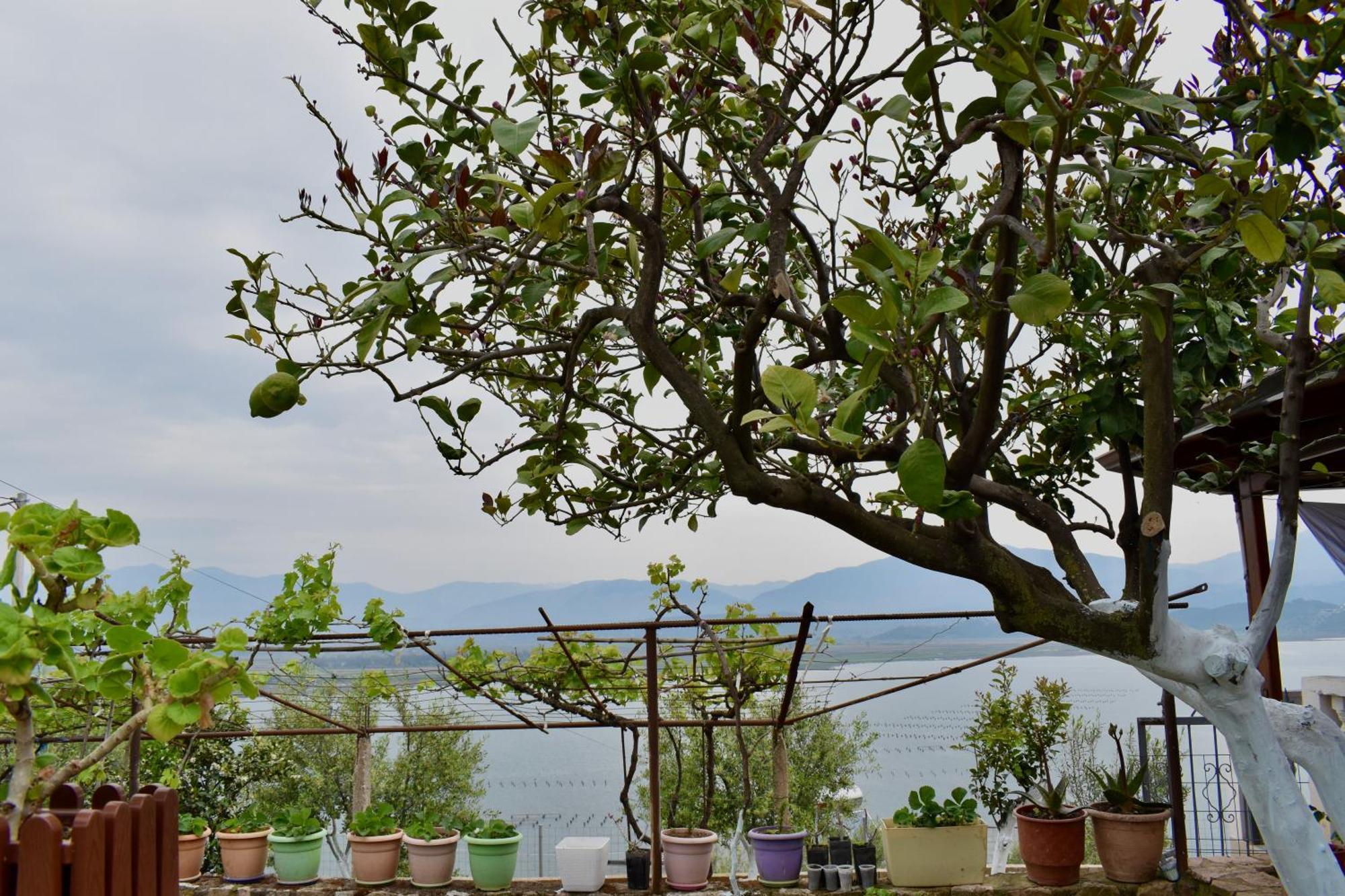 Ksamil Sea&Lake View Escape Exterior photo
